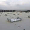 OBRA GOODMAN-2